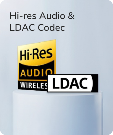 Logotypy Hi-Res Audio i kodeka LDAC dla wysokiej jakości bezprzewodowego dźwięku.